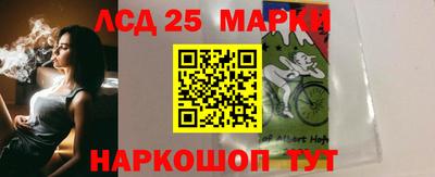 сатива Ставрополь