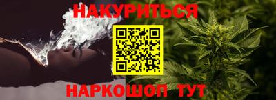 сатива Ставрополь