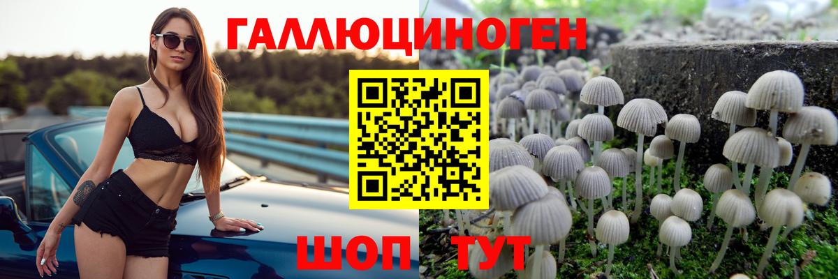 Галлюциногенные грибы мицелий  Вход с VPN  Нововоронеж 